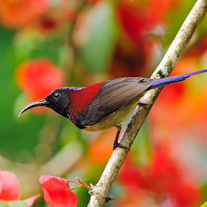 Meet your Posher, Judith